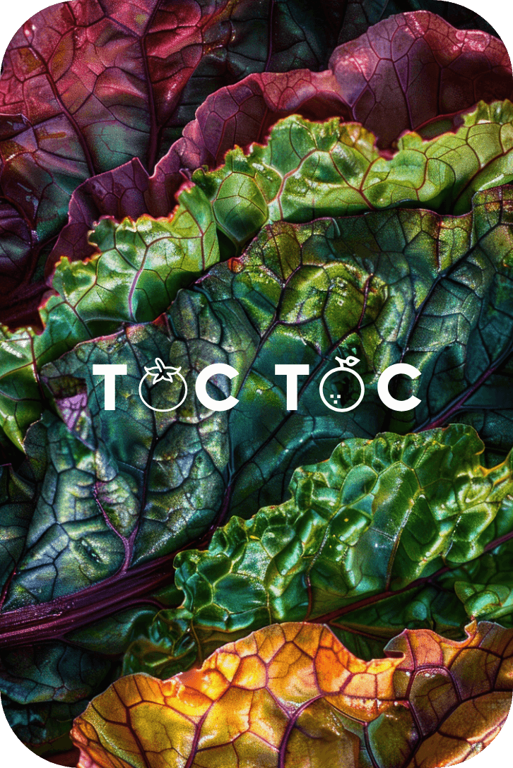 Toc Toc Rungi